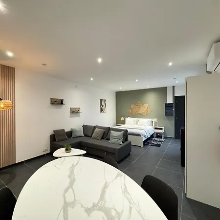 Spacieux Proximite Aeroport Apartment *