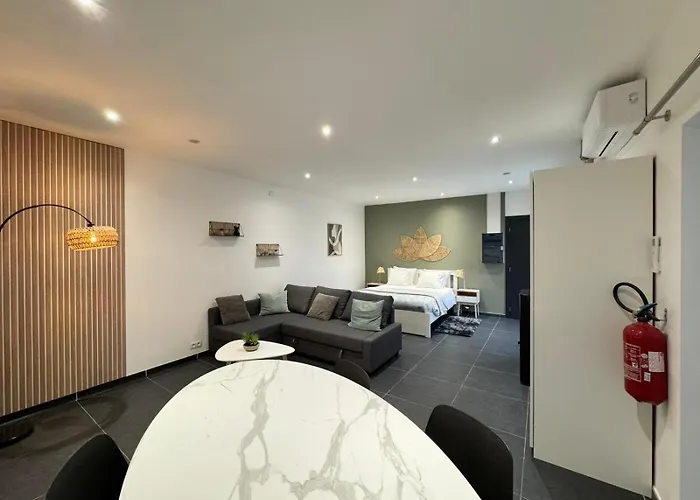 Spacieux Proximite Aeroport Apartman *