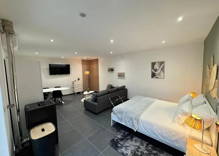 Apartman Spacieux Proximite Aeroport *